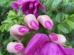rose vitrail 2.JPG